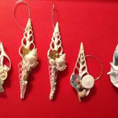 Down by the Seashore