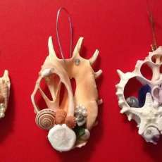 Down by the Seashore