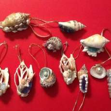 Down by the Seashore