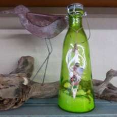 Down by the Seashore