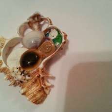 Down by the Seashore