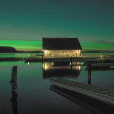 Serene Green - Northern Lights