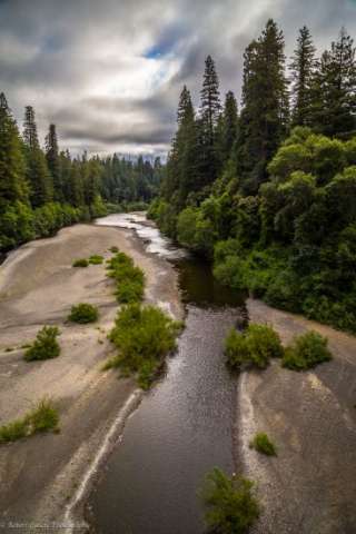 Redwoods & Rambling River