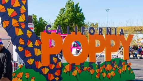 California Poppy Festival