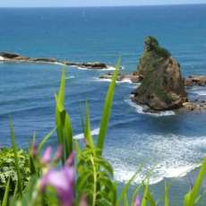 Dominica Coastline
