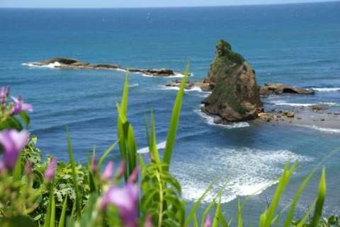 Dominica Coastline