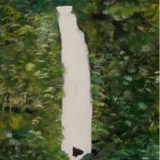 Trafalgar Falls-Dominica