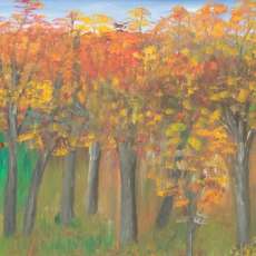 Fall Colors