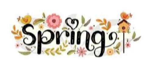 Spring Fling Craft Show