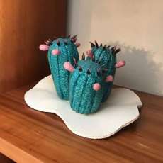 Cactus Trio
