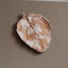 Cement skunk cabbage