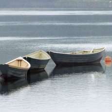 3 DORIES