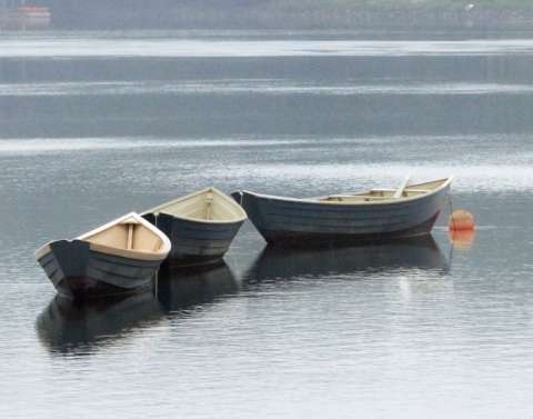 3 DORIES