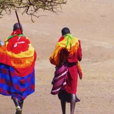MASAI WARRIORS