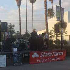 Live Festival Concert Aug 2014