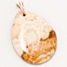 Coral Agatized Pendant with gold twirl bail 78ct