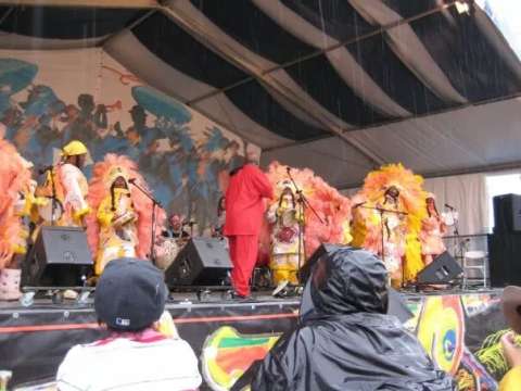 Wild Mohicans Mardi Gras Indians