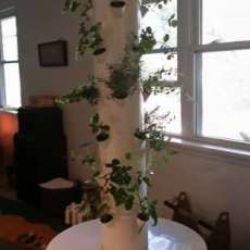 Picture of Extended Tower Garden