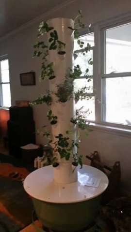 Picture of Extended Tower Garden