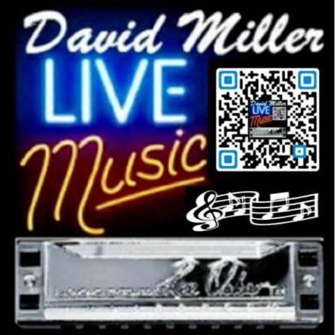 David Miller Live Music Blog on FestivalNet