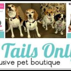 For Tails Only!  Changing Lives One Paw At A Time!