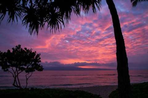 Red Hawaiian Sunset