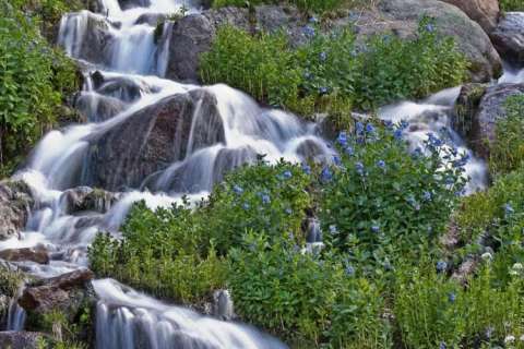 Mountain Summer Runoff