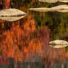 Red Fall Reflection