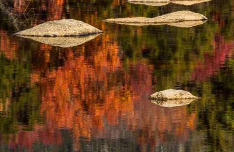 Red Fall Reflection