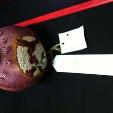 Hummingbird bowl/vase