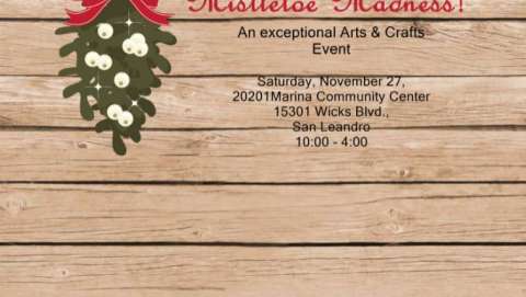 Mistletoe Madness - A Christmas Fair