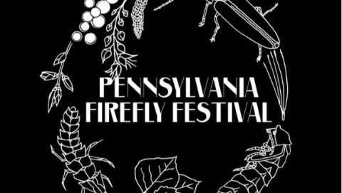 The 11th Annual PA Firefly Festival