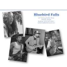 Bluebird Falls Band Shot