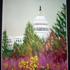 Capitol building from Botanic Gardens