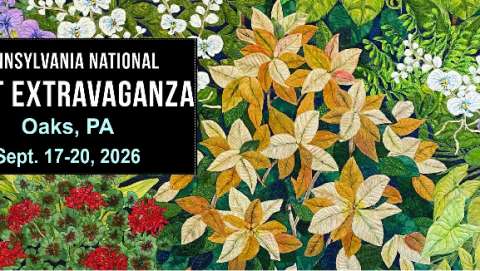 Pennsylvania National Quilt Extravaganza