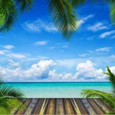 This Could Be Your View !!