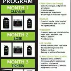 3 month program