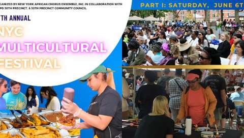 NYC Multicultural Festival - Jackie Robinson Park