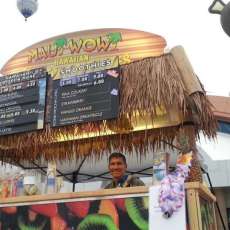 Maui Wowi at the Albuquerque Balloon Fiesta 2014