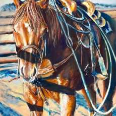 Roped Into Break Time