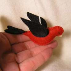 Scarlet Tanager