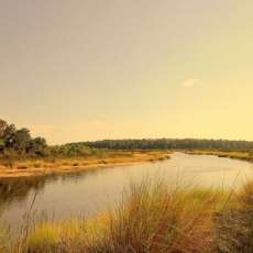 Combahee River Coolness