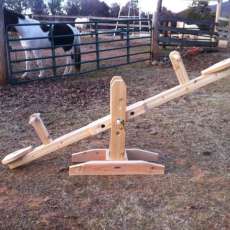 See Saw (Holds up to 300lbs adjusts for height and weight distribution)