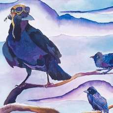 Flying Lessons With Ace