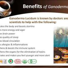 Anthea Or Terreance Love