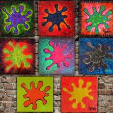 The Splat Collection