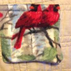 Sample buckwheat pillow