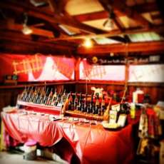 Washington County Fair 2014