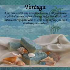 Tortuga