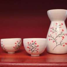 Sake Set